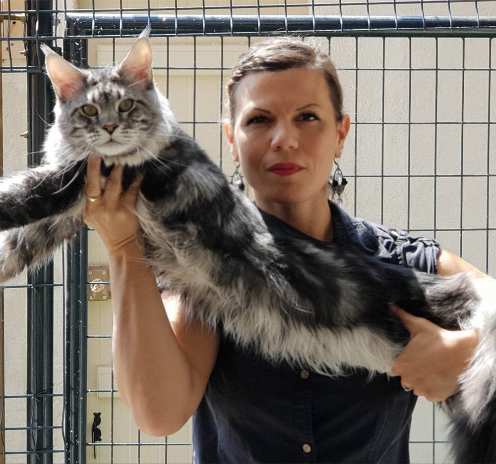 Chatterie à Falicon