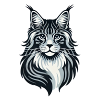 pelage_black_sliver_tabby_lou_pitchoun_coon pelage_black_sliver_tabby_lou_pitchoun_coon