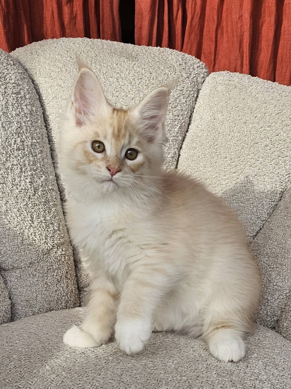 2025 PORTEE TOSCANE HATCHI 13