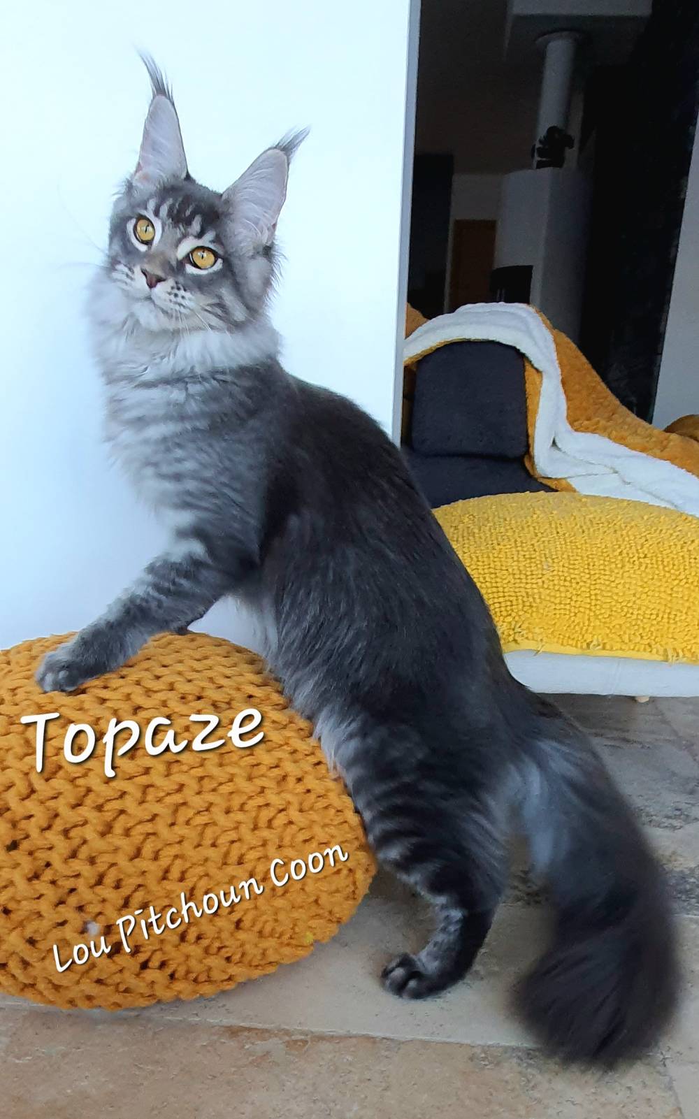TOPAZE18 (1)